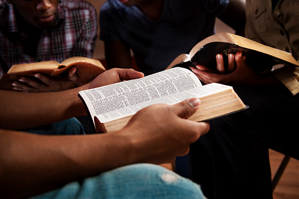bible study